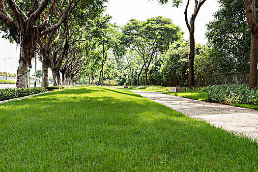 số kiên giang