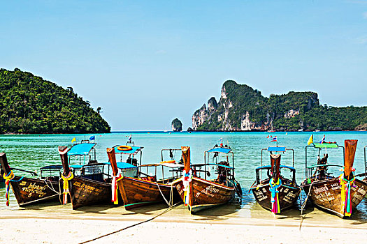dạy cách đánh đề
