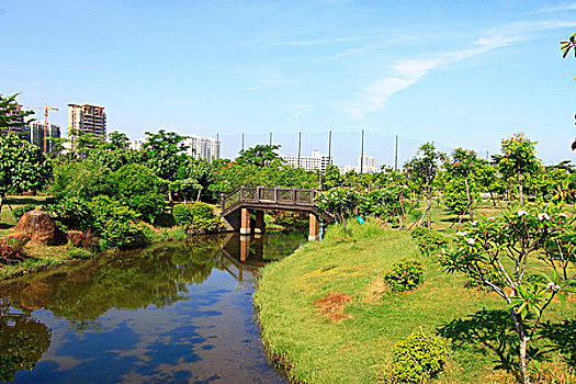 lô bach thu mien bac