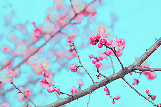 soi cau xsmb chinh xac mien phi hom nay