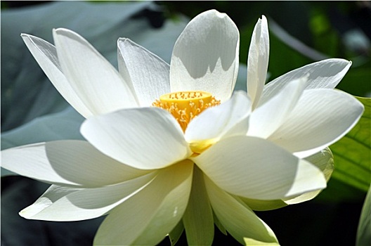 bach thu lo mien bac hom nay