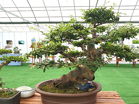 dự đoán xổ số vũng tàu