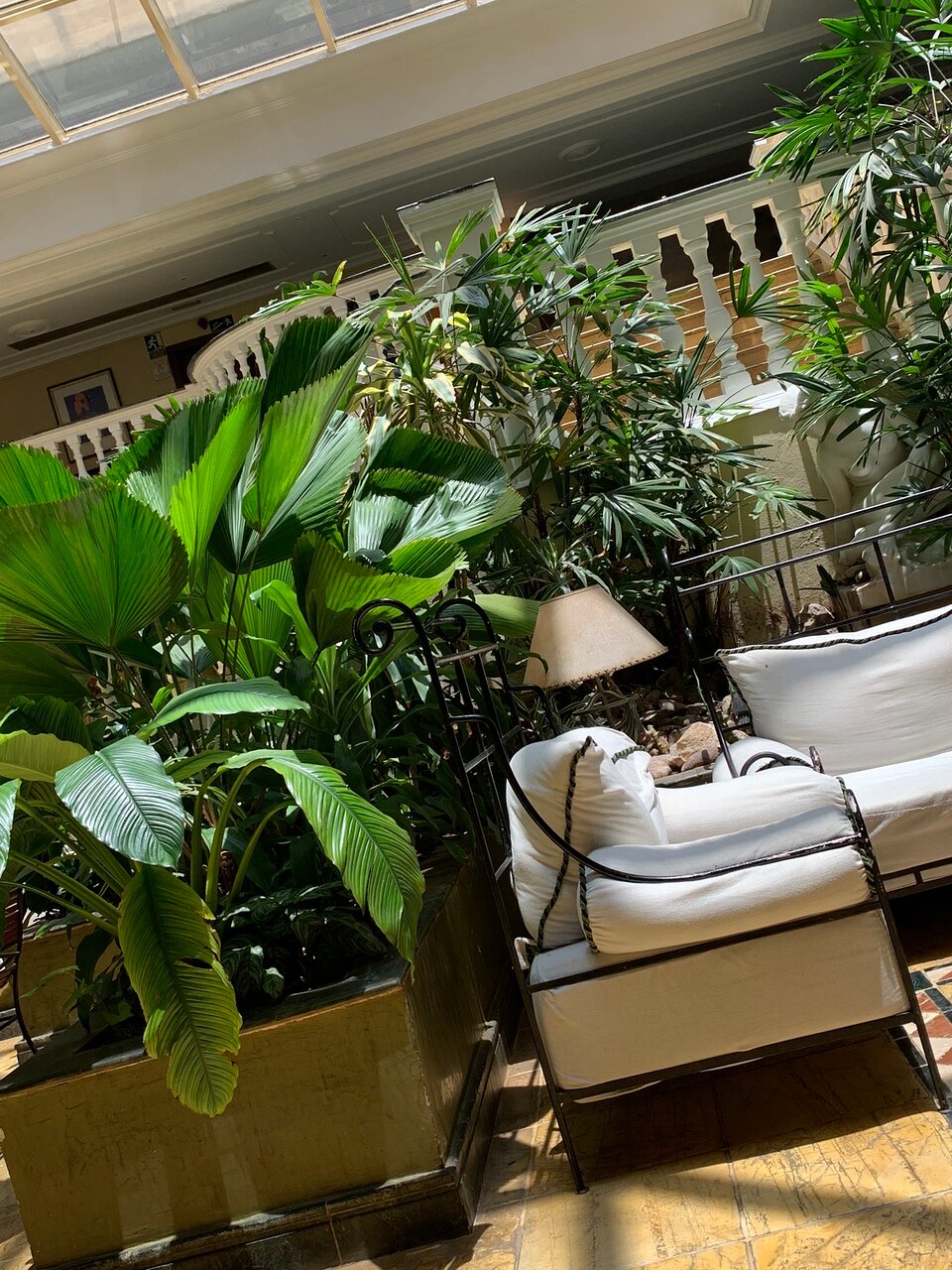 Discover the Allure of Havana - A Deep Dive into Iberostar Parque Central Hotel Review